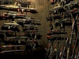 Firearms- Diverse