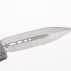 Microtech 138-16S Signature Series Troodon Damascus - Image 3
