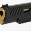 Nighthawk Custom Agent 2 10mm Recon IOS - Image 7